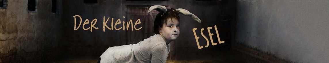 Der kleine Esel Der kleine Esel